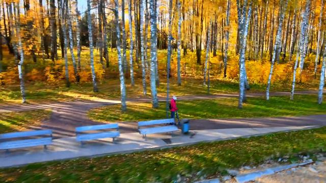 Сенеж с воздуха.Солнечногорск смотреть онлайн