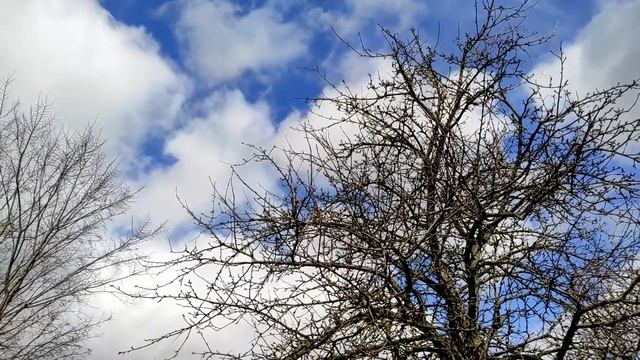 День весеннего равноденствия 2021. Дата и приметы дня, что нельзя делать. смотреть онлайн