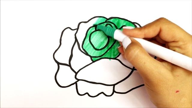 Сурет салу қырыққабат | How to draw cabbage | Как нарисовать капусту смотреть онлайн