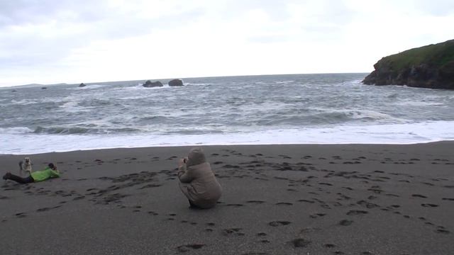 Поездка в Форт Росс Берег Океана к северу от Bodega Bay смотреть онлайн