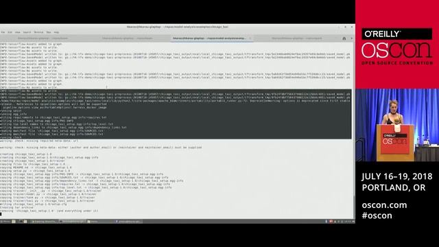 Powering Tensorflow with Big Data using Apache Beam, Flink and Spark смотреть онлайн