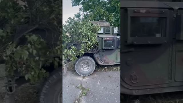 В Лисичанске продолжается сбор трофеев. смотреть онлайн