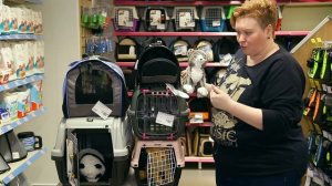 Как выбрать переноску для кошки?