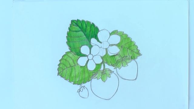Уроки рисования. Как нарисовать клубнику акварельными карандашами | Art School смотреть онлайн