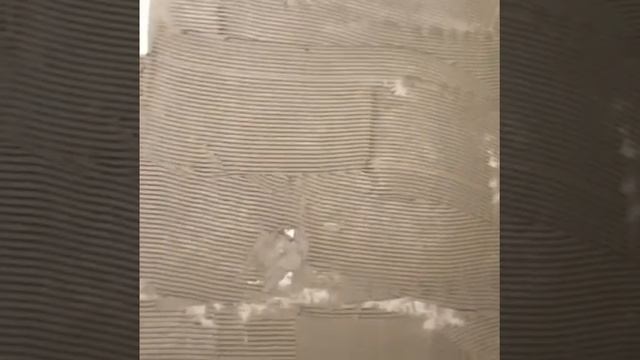 волма ремонт квартир Белгород ☝️ смотреть онлайн