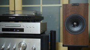 KEF Q150   이규석 - 기차와 소나무