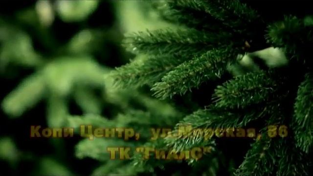 Новогодние ели в Копи Центре на Морской, 86 смотреть онлайн