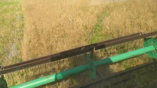 Уборка гірчиці білої 2021. смотреть онлайн