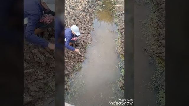 Странные пузыри смотреть онлайн