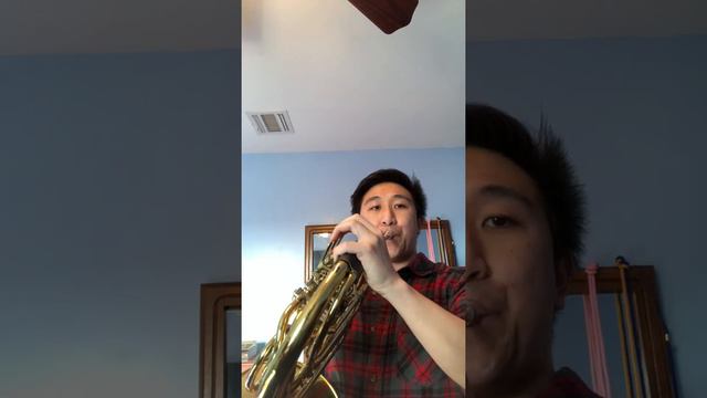 Mozart 3rd Horn Concerto Mvt. 1 (Exposition) смотреть онлайн