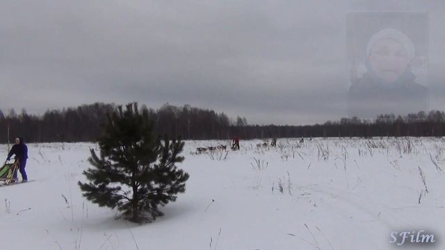 Sledding Cross-Country смотреть онлайн