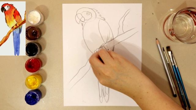 КАК НАРИСОВАТЬ ПОПУГАЯ?УРОК РИСОВАНИЯ ? смотреть онлайн