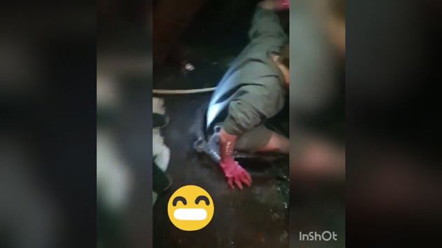 Айфон 8 утопили в говне смотреть онлайн