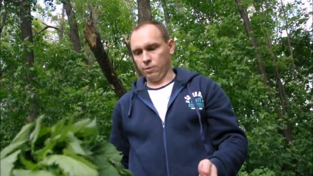 банный лекарь крапива смотреть онлайн