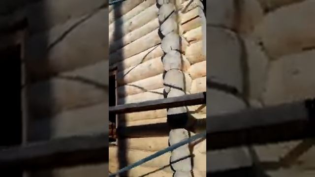 Шлифовка бруса