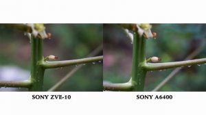 Sony ZV-E10 vs Sony A6400 | Photo Comparison Side by Side | Sony ZV-E10 Photography | 4K