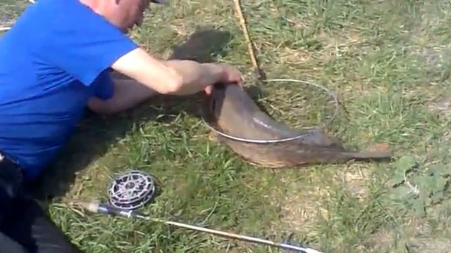 Карп на червя смотреть онлайн