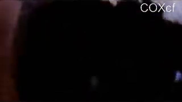 Инкубация яиц геккона COXcf смотреть онлайн