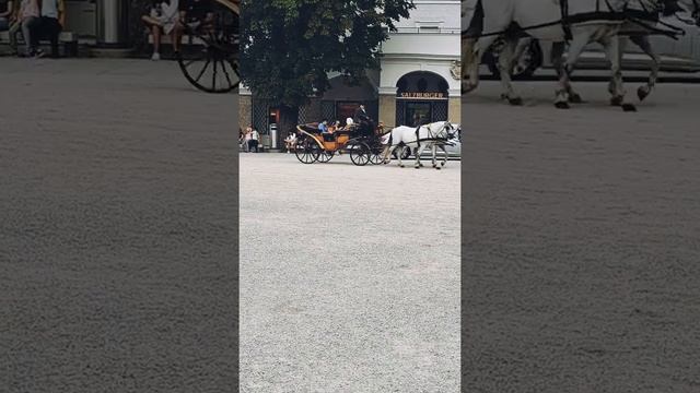 Родина Моцарта.В центре Зальцбурга очень интересно!!!! смотреть онлайн