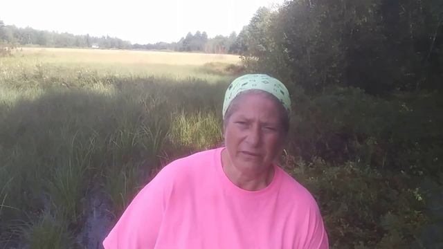 (Part 2) Peat Moss Bog and Introduction to Wild Raisins смотреть онлайн