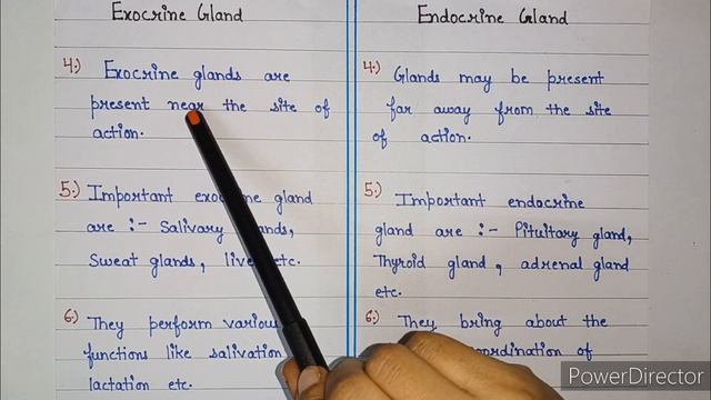 difference between exocrine and endocrine glands | exocrine gland and endocrine gland | смотреть онлайн