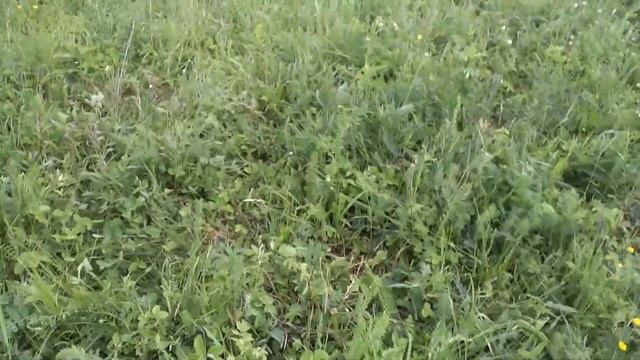 Рыбалка в грозу►Ловля на спиннинг с берега 2020◄ смотреть онлайн