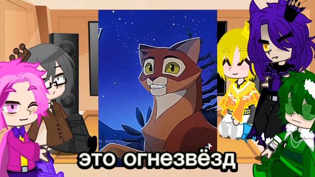 реакция 13 карт на Котов воителей 3/?||Nardy _sid||❤️🌸°∆°