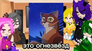 реакция 13 карт на Котов воителей 3/?||Nardy _sid||❤️🌸°∆°