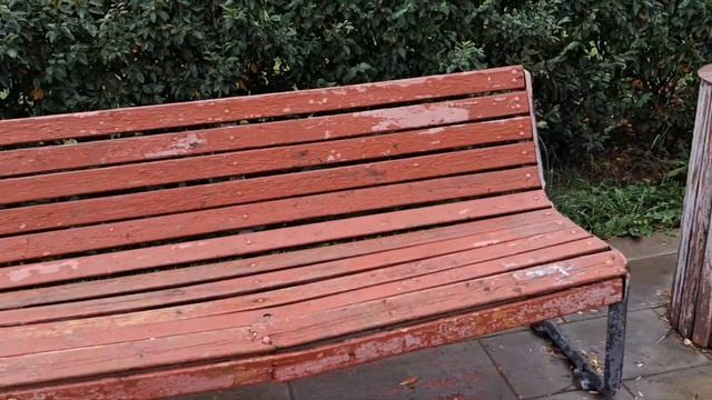 В сквере на Проспекте Защитников Москвы сломались все 22 лавочки. 23.08.2023г. #НашГород смотреть онлайн