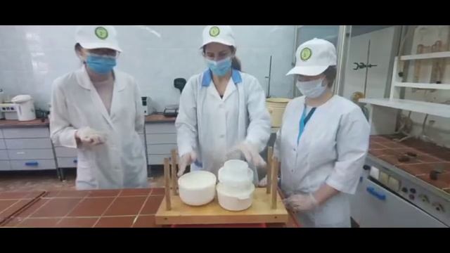 Мастер-класс по изготовлению итальянского сыра Бель паэзе смотреть онлайн