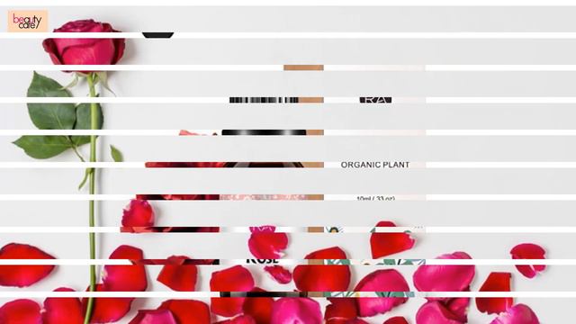 Aloe Rose Toner Summer Skin Care Routine for All Skin Types смотреть онлайн