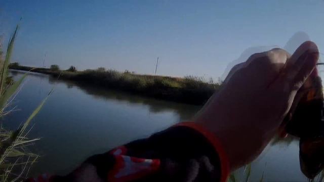 Рыбалка в июле. Окунь, голавль и трофей на микроджиг смотреть онлайн