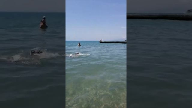 Отдых в Дивноморском 2019. Пляж "Голубая Даль" смотреть онлайн