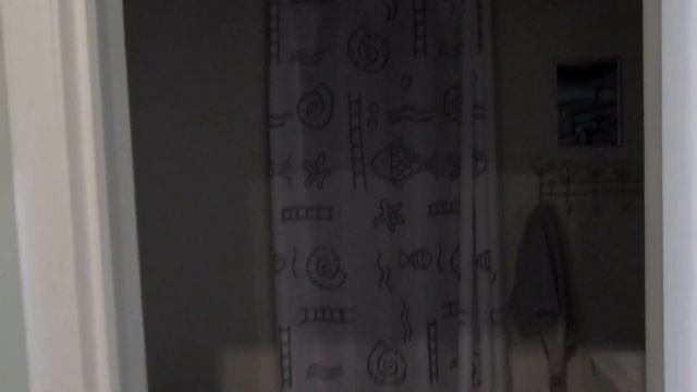 Шикарный дом в Каштанах. В этом видео обзор жилого дома в Каштанах, район Хосты.