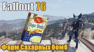 Fallout 76. Фармим сахарные бомбы. Маршрут на 24 год. 40 локаций!!!