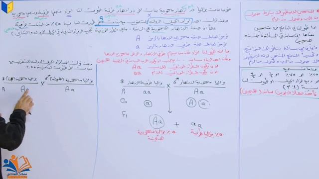 محاضره 7| نورس الموسوي| حل المسائل التي تحتوي ع مجاهيل