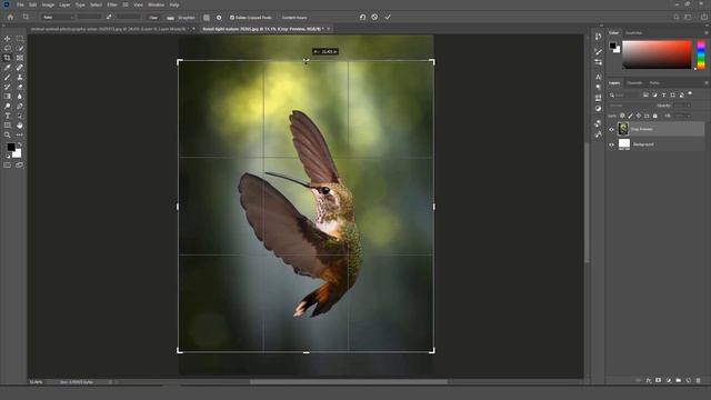 PHOTOSHOP MANIPULATION || BIRD | BOKEH BLUR | CONCEPT смотреть онлайн