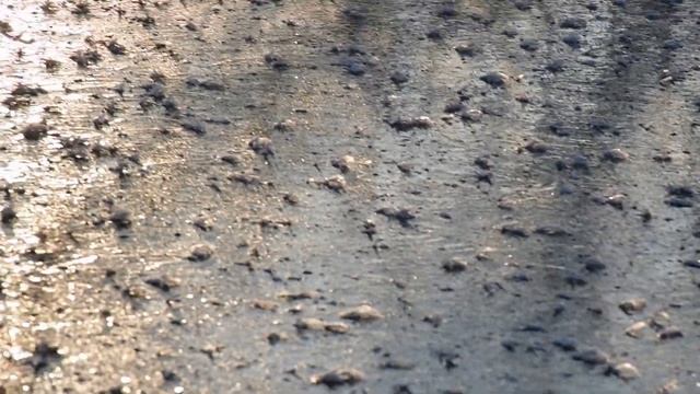 Зимние пейзажи в октябре. Мурманск. 28.10.2019