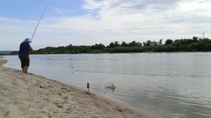 ?Рыбалка?ст.Раздорская Ростовская область 12.07.23 #рыбалка2023 #рыбалка #город61 #станицараздорск