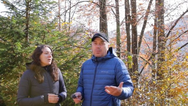 Карпаты , достопримечательности Закарпатья смотреть онлайн