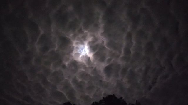 В ДОМе простого рабочего в США смотреть онлайн