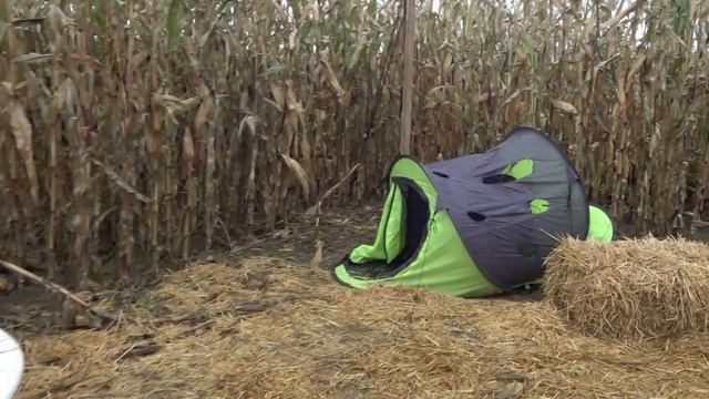 День ужасов - Приключения на Хэллуин КУКУРУЗНЫЙ ЛАБИРИНТ /Бетти Беттика и её жизнь в Германии смотреть онлайн