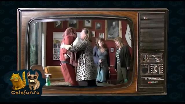 Скрытая камера испуги людей прикольные моменты