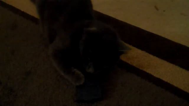 Tomo Vs. Metronome смотреть онлайн