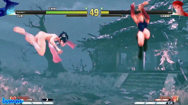 Street Fighter V Champion Edition Mod Juri Han V Cammy смотреть онлайн