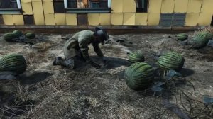 Fallout 4 - Как поднять БАБЛА ||  Лучшие способы заработка крышек в игре