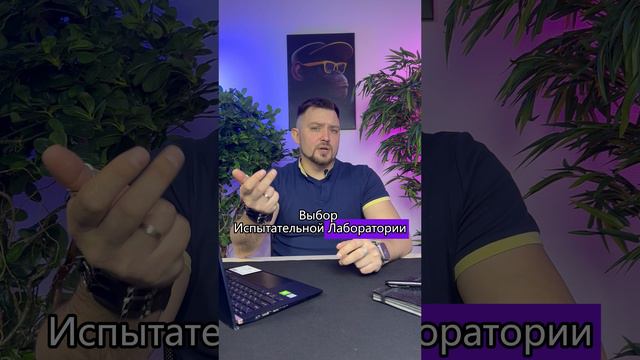 Что такое декларация смотреть онлайн