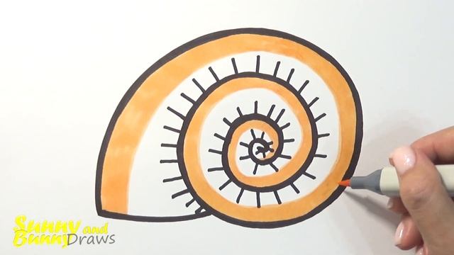 Рисунок и раскраска Ракушка ?- Рисунки для детей | Sunny And Bunny Draws