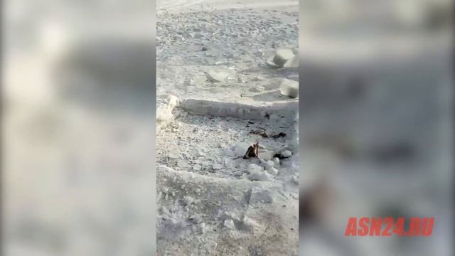 В Райчихинске страждущих лишили купели смотреть онлайн