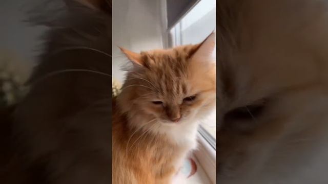 Так хочется кокетничать смотреть онлайн